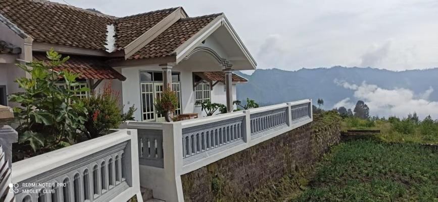Good Karma Bromo Guesthouse Eksteriør billede